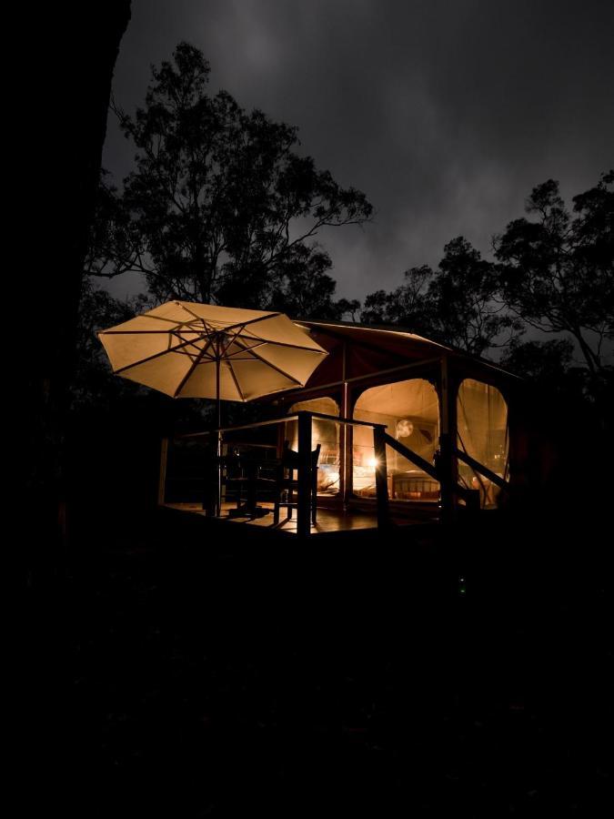 Wild Nature Lodge, Mareeba Wetlands Biboohra المظهر الخارجي الصورة