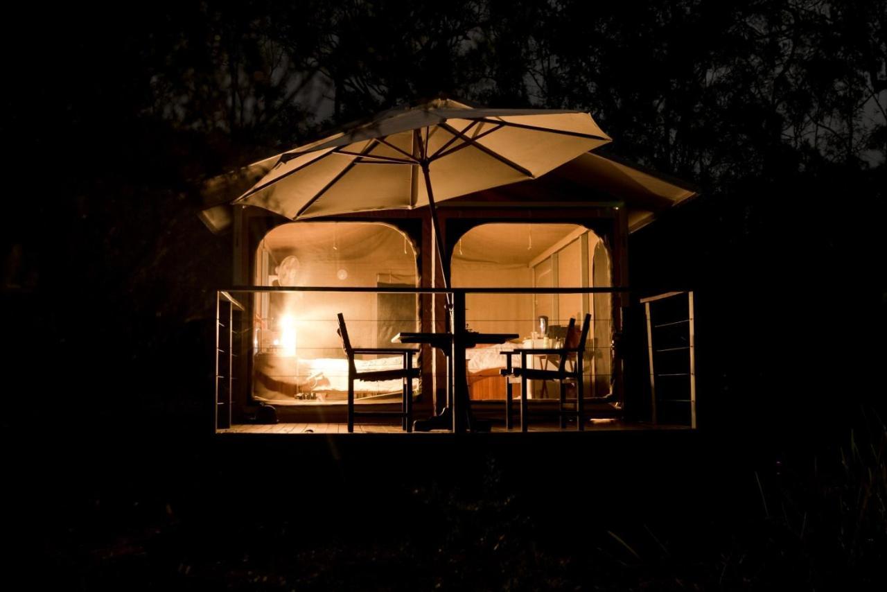 Wild Nature Lodge, Mareeba Wetlands Biboohra المظهر الخارجي الصورة