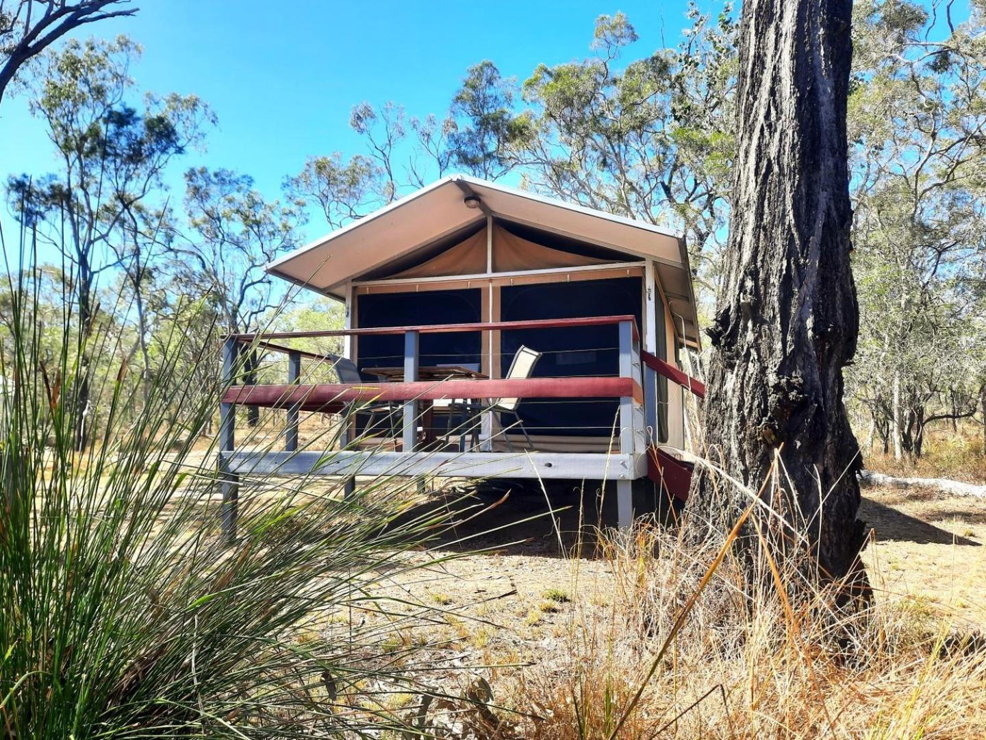 Wild Nature Lodge, Mareeba Wetlands Biboohra المظهر الخارجي الصورة