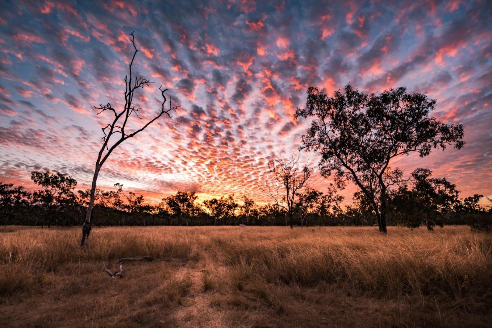 Wild Nature Lodge, Mareeba Wetlands Biboohra المظهر الخارجي الصورة